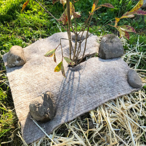 wool_weed_mat_jpg